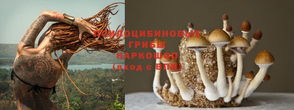 дурь Нея