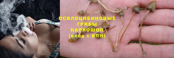 mix Богданович
