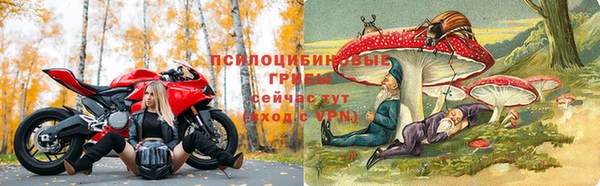 ешки Богородицк