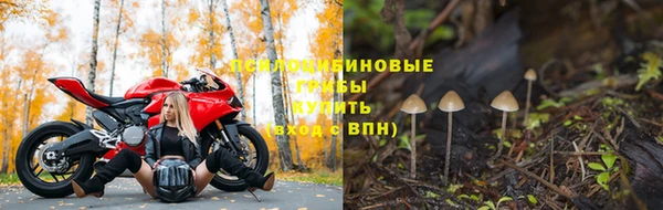 ешки Богородицк