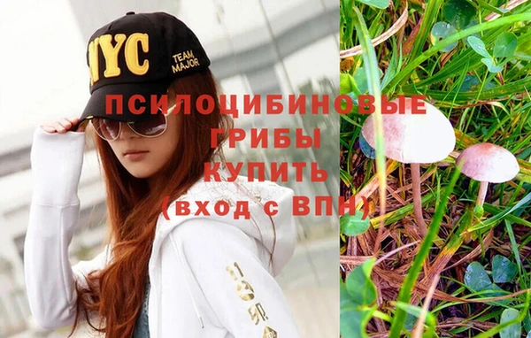 mdpv Нефтекумск