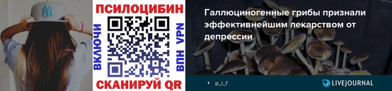 Купить закладки  Белозерск  Галлюциногенные грибы MAGIC MUSHROOMS 