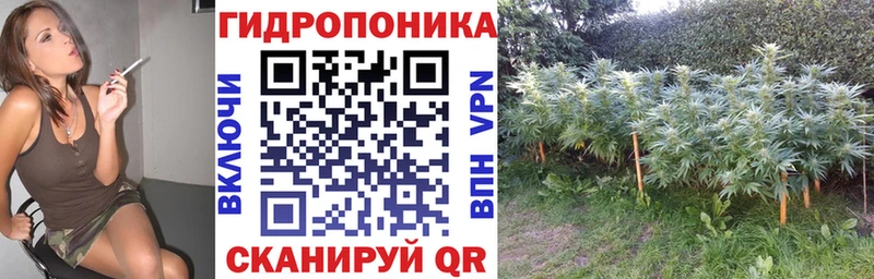Марихуана семена Белозерск